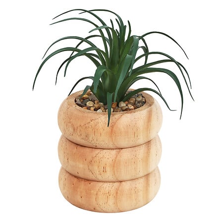 Plante pot bois lixa h17