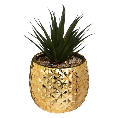 Planta piña con maceta cerámica, 21 cm de alto