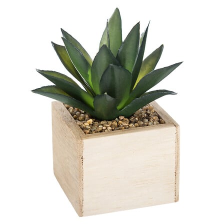 Planta verde Chic con maceta madera, 14 cm de alto