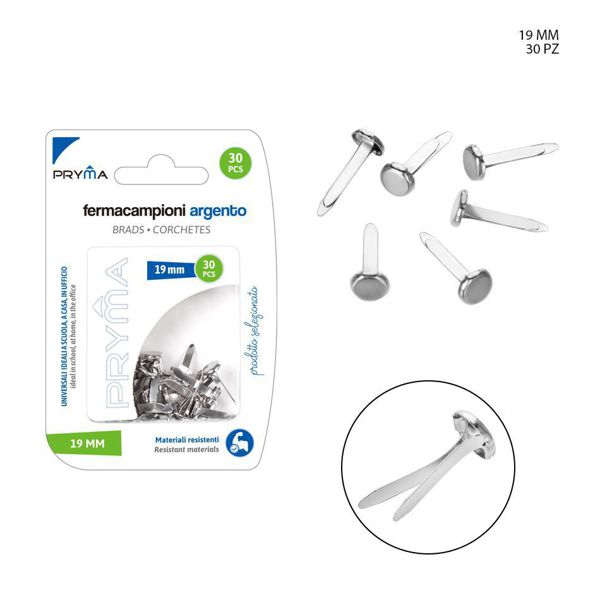 Clips de muestra de color plata 19mm 30pz