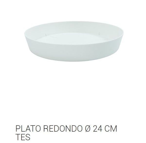 Tes plato redondo ø 24cm blanco c12