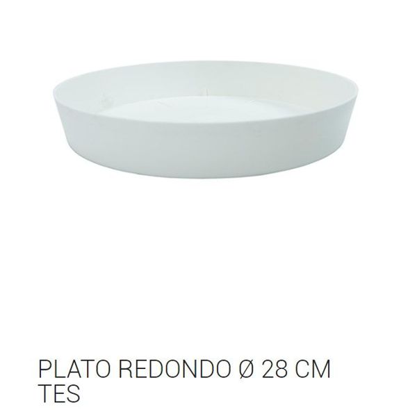 Tes plato redondo ø 28cm blanco c12