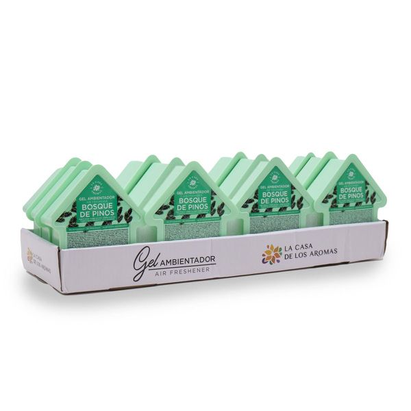 Exp.12 amb. gel pino 100g.