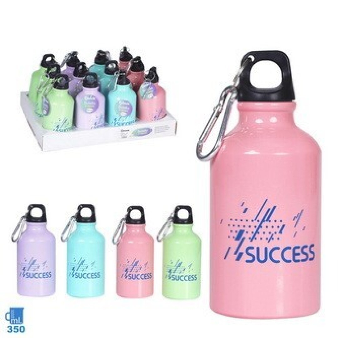 Botella agua mosqueton 350ml