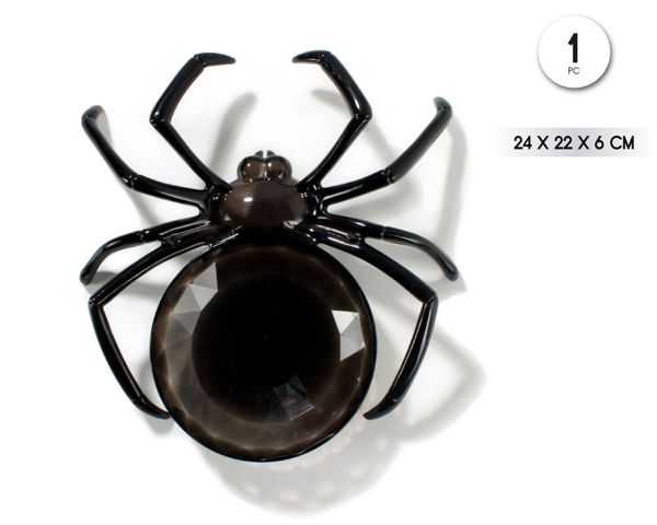 Plato spider