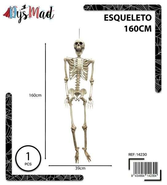 Esqueleto