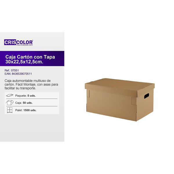 Caja c/tapa 300x225x121mm