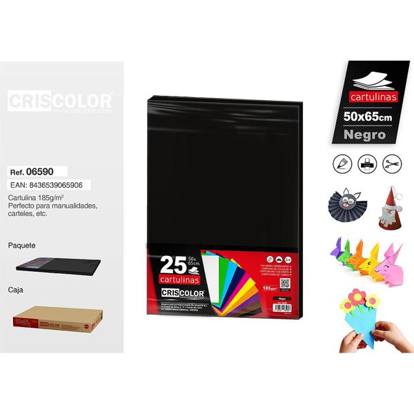 Cartulina 50x65 negro