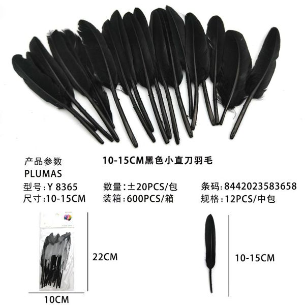 Plumas 10-15cm*20ud